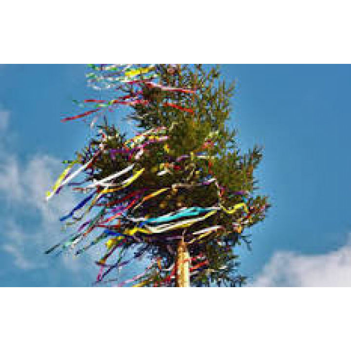 Pozvanie na stavanie mája dňa 30.04.2026 o 19:00 hod. pred KD v Podkriváni