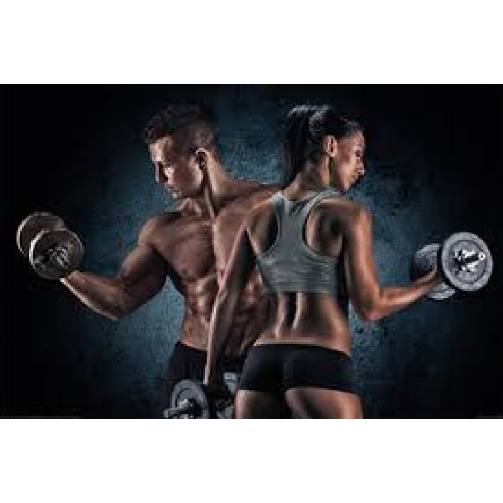 Prevádzkový poriadok posilňovne